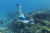 Набор для плавания "Meridian Snorkel", от 14 лет (Bestway 25020 BW)