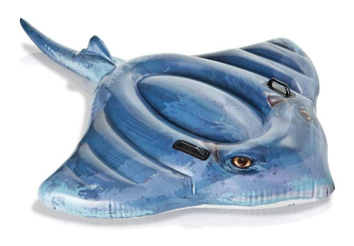 57550
