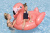 Надувная игрушка-наездник 128x110x87 см "Фламинго", от 3 лет (Bestway 41525 BW) Надувная игрушка-наездник 128x110x87 см "Фламинго", от 3 лет (Bestway 41525 BW)